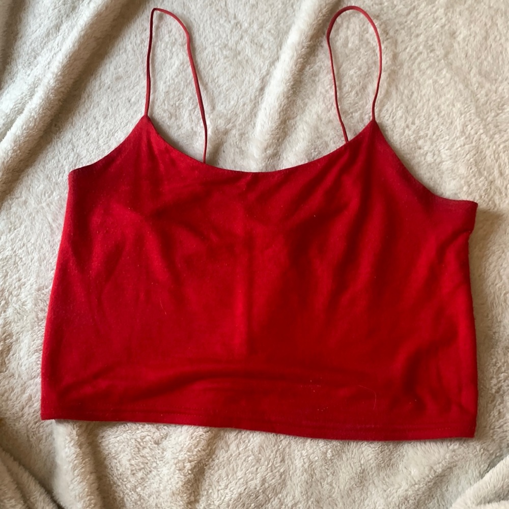 Pacsun crop top